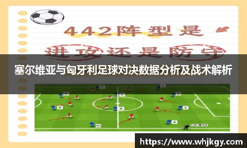 塞尔维亚与匈牙利足球对决数据分析及战术解析